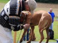 Doktorspiel 21 09 08 011