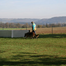 2008 10 18 Teamtest klein 0046