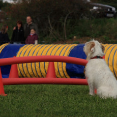 Gruppe2 21.09.2008 14 28 14 0