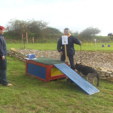 Sommerfest 2008 i 008