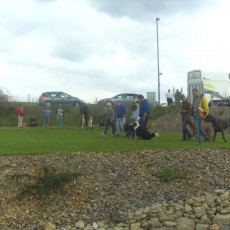 Sommerfest 2008 i 017