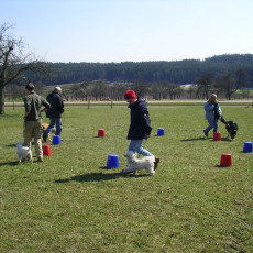 06 04 08 Sonnentraining0002