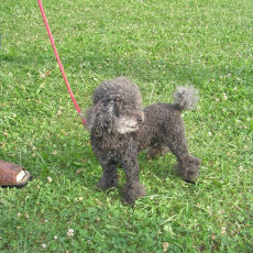 Uschi s Vormittagsgruppe0008 i