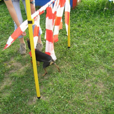 Uschi s Vormittagsgruppe0013 i